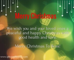 20 Best Merry Christmas 2023 Messages for Boss & His Family