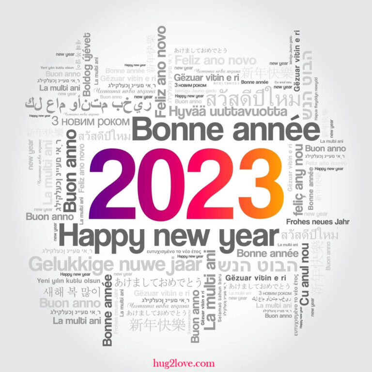 How Do You Say Happy New Year 2024 in French