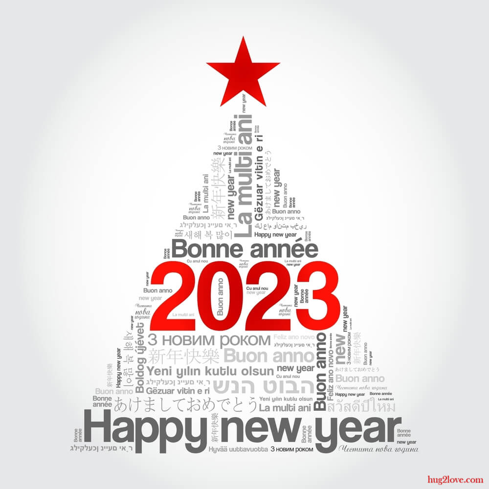 How Do You Say Happy New Year 2024 in French