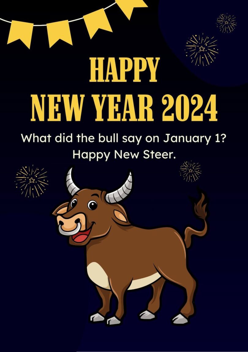 100+ Funny New Year 2025 Jokes (Funny Wishes) Hug2Love